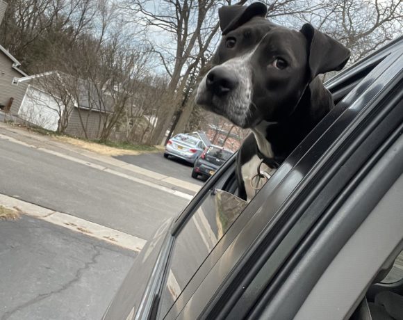 Nala