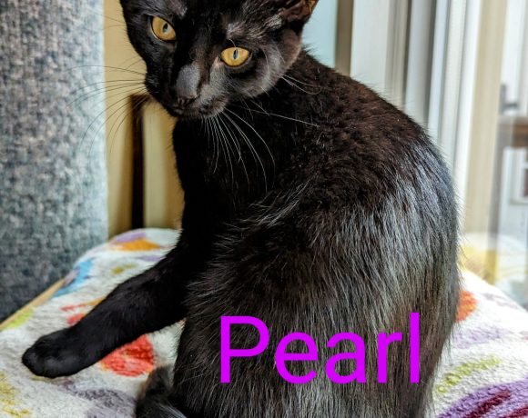 Pearl