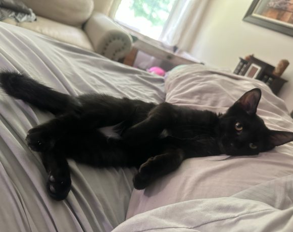 Vinnie