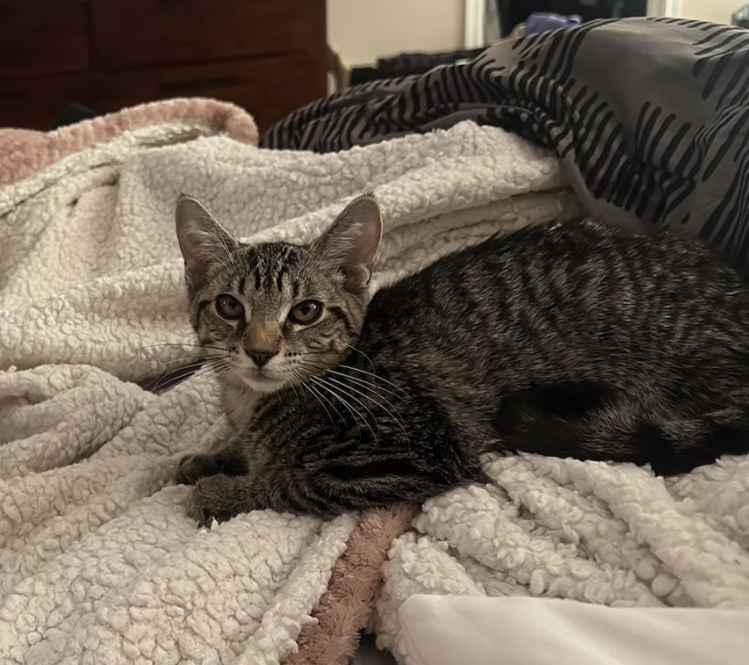 Nora
