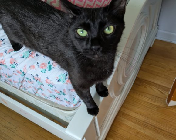 Agatha