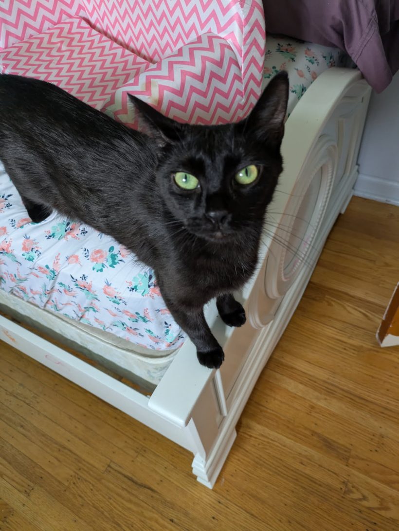 Agatha
