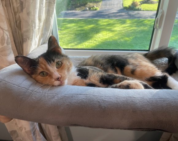 Cleo