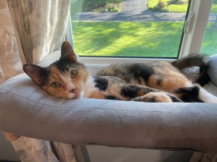 Cleo
