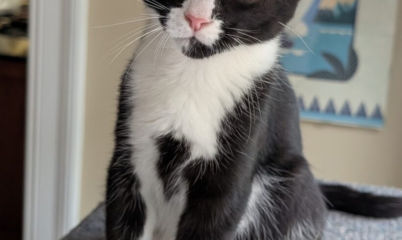 Elliot