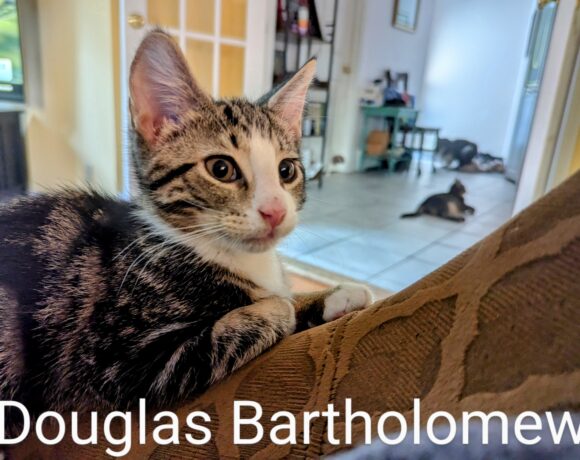 Douglas Bartholomew