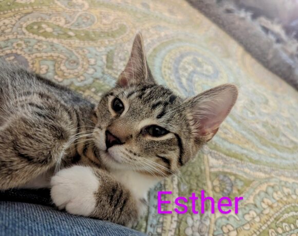 Esther