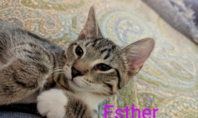 Esther