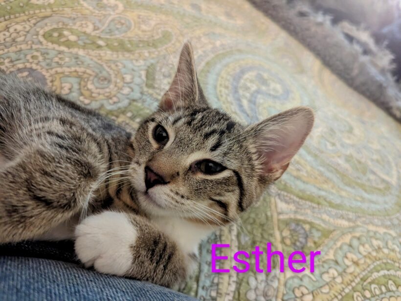 Esther