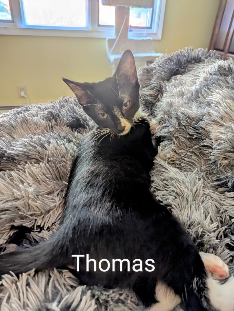 Thomas