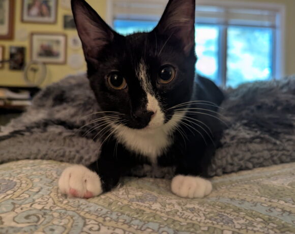 Thomas