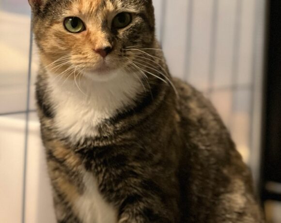 Tina