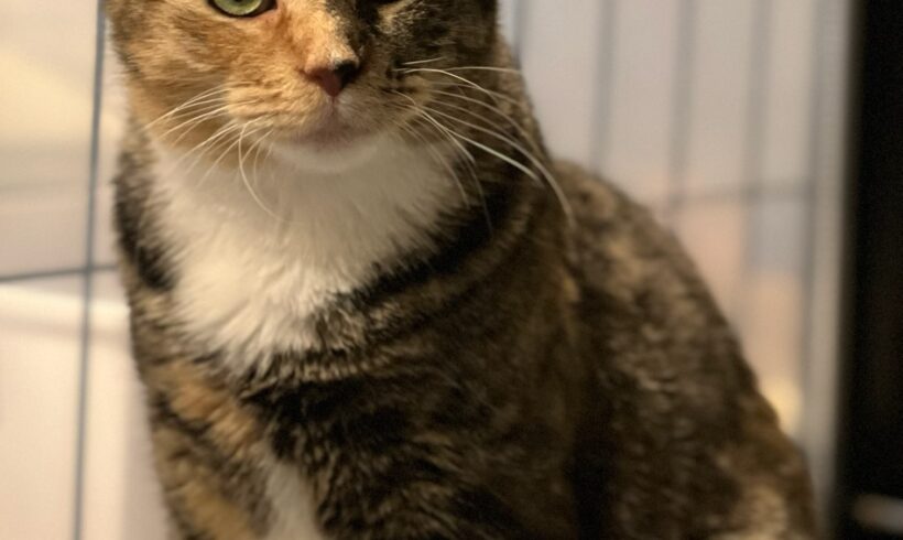 Tina