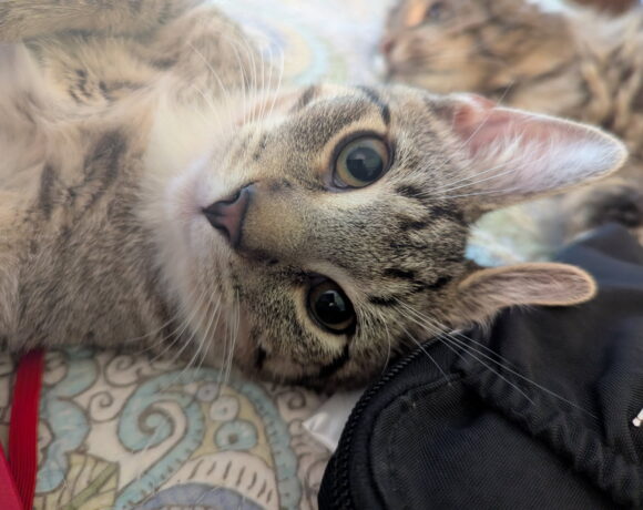 Esther