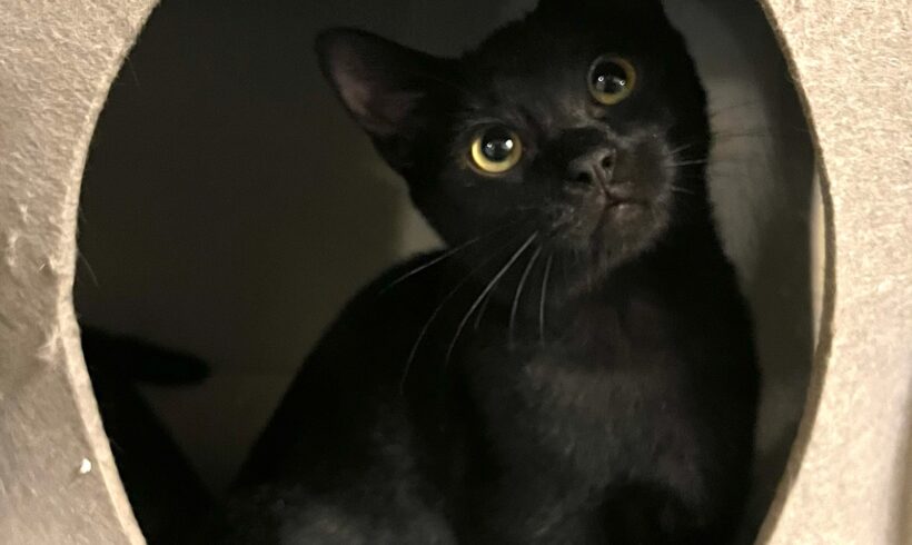 Minnie