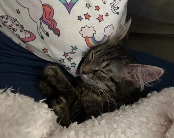 Tinkerbelle