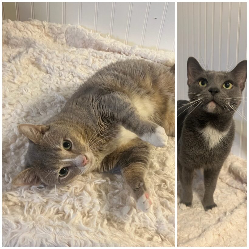 Atlas & Stone Atlas & Stone