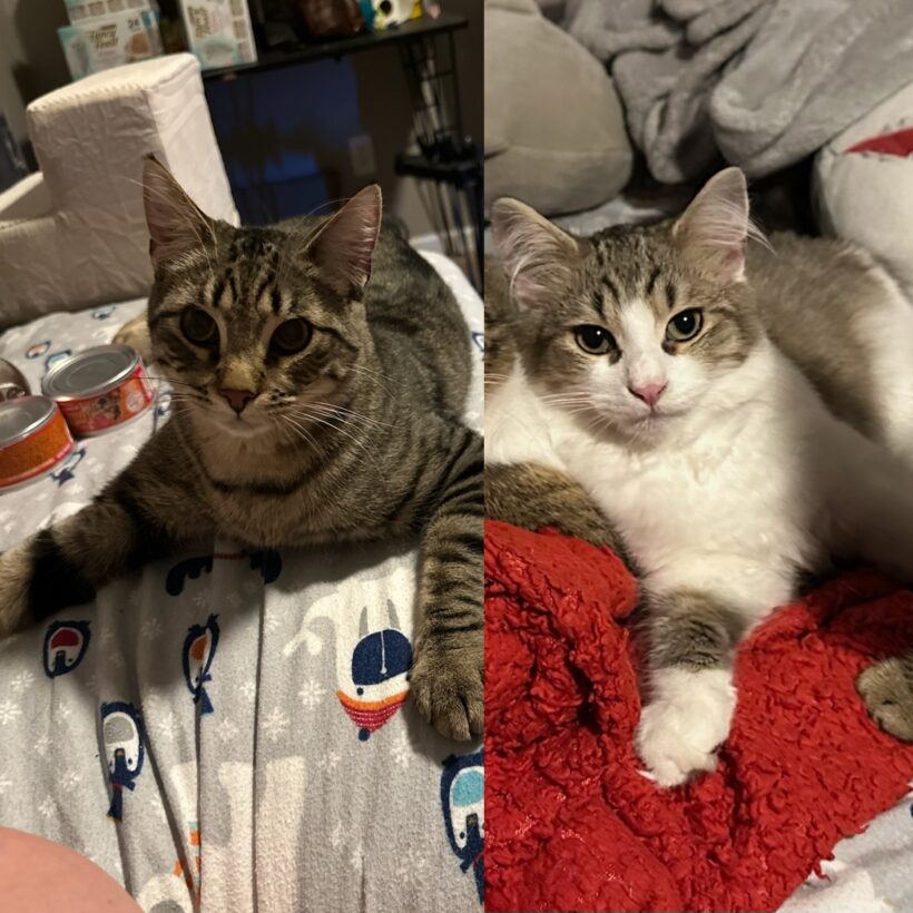 Walter & Waffles Walter & Waffles