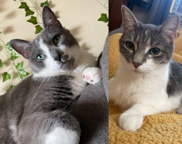 Jordy & Nellie