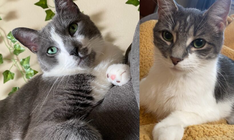 Jordy & Nellie