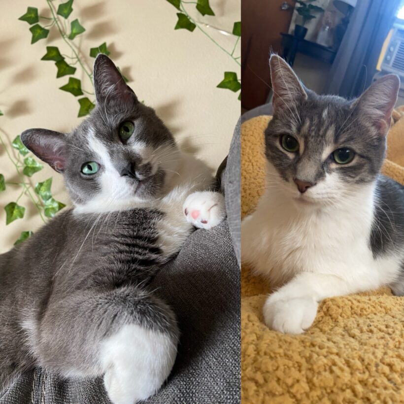 Jordy & Nellie Jordy & Nellie