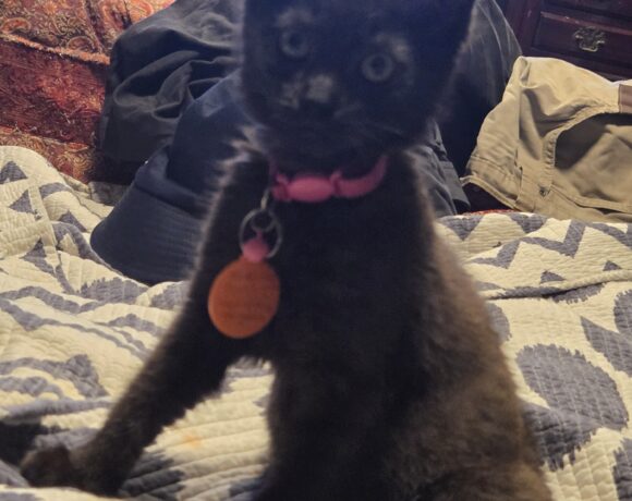 Missy