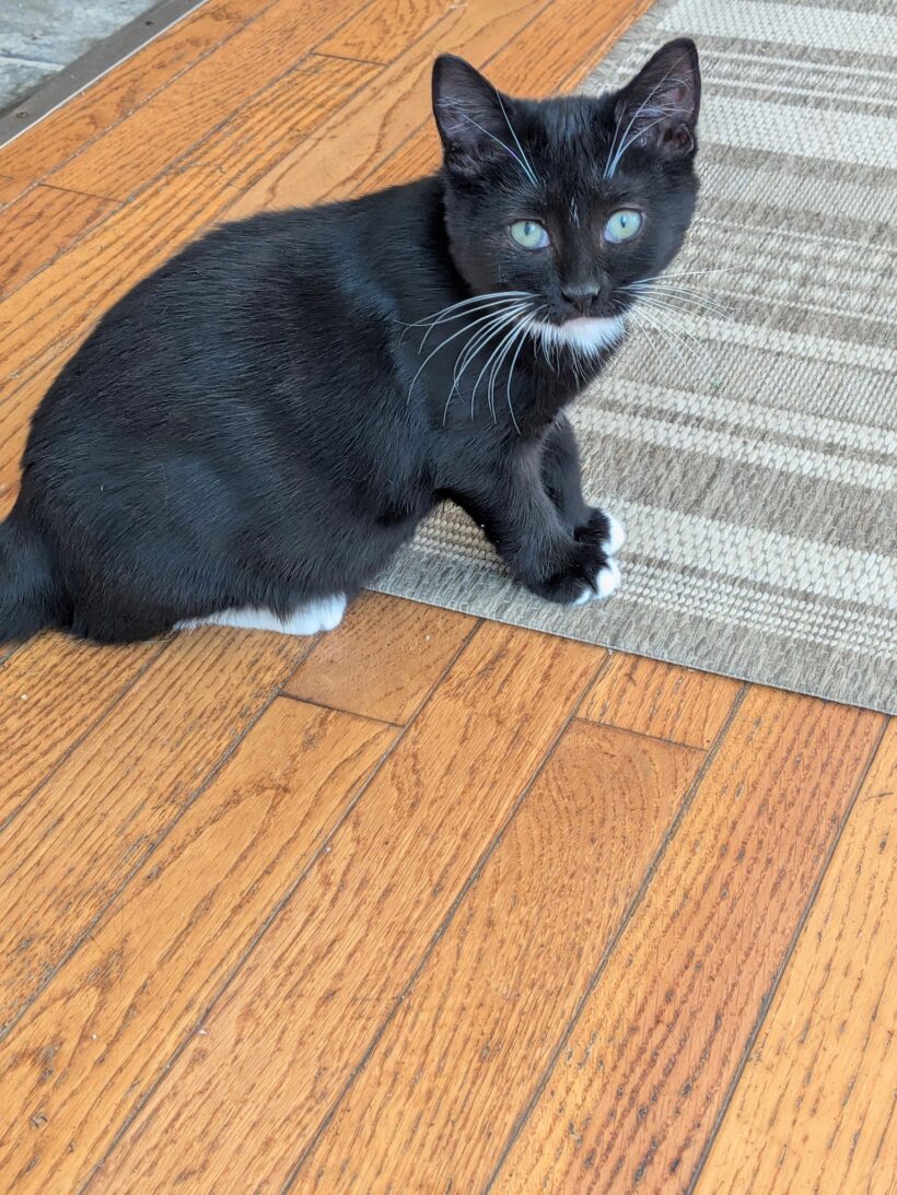 Pepper Pepper